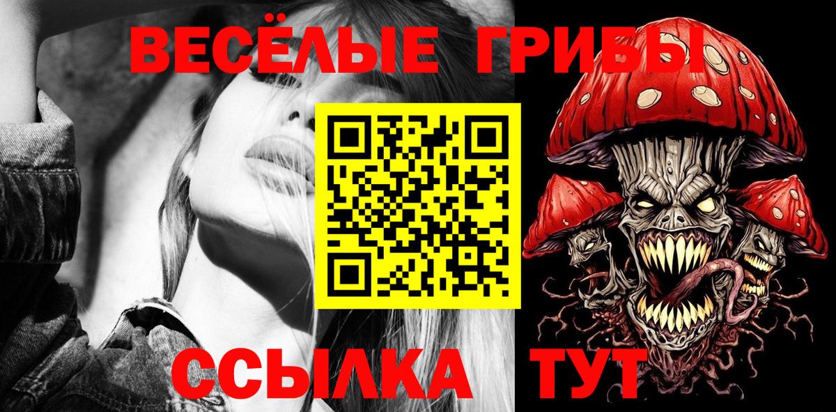 Когалым  купить наркоту  Вход с VPN  Псилоцибиновые грибы мицелий  Псилоцибиновые грибы Cubensis 